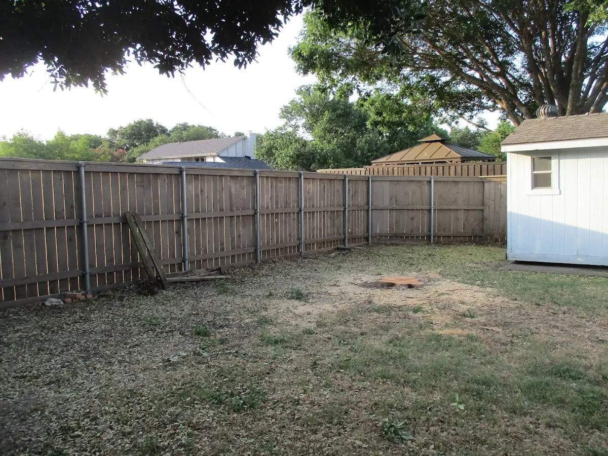 Cleared yard after professional tree removal in Evergreen Park