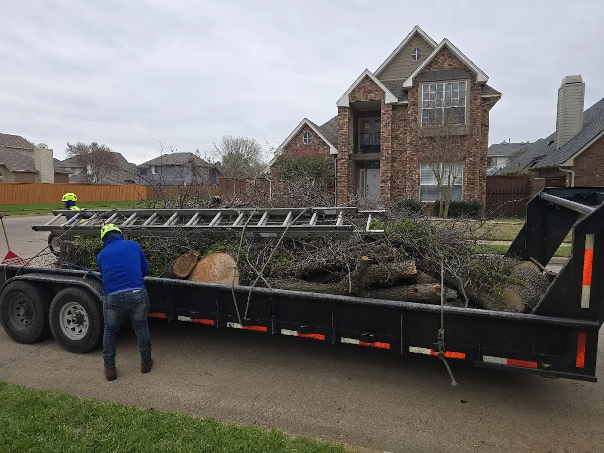 Expert Lot Clearing with proper safety equipment in Evergreen Park